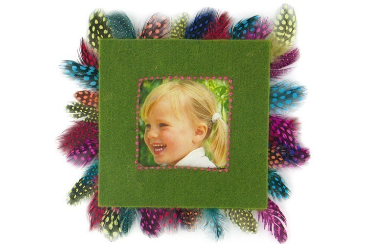 Marco decorativo con plumas de perdiz