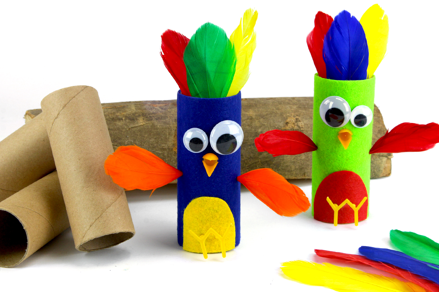 Pájaros con un tubo de cartón