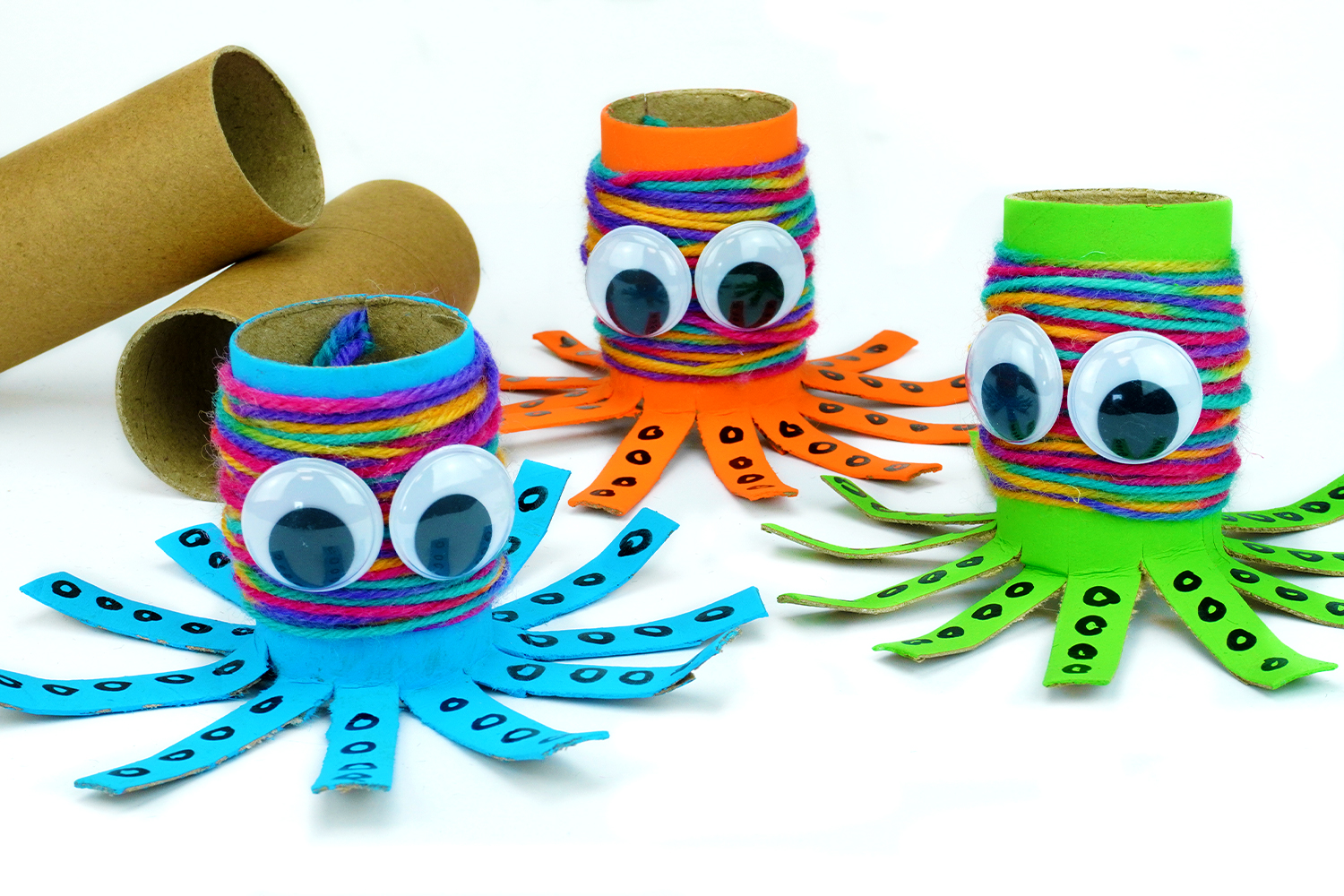 Octopus with a cardboard tube