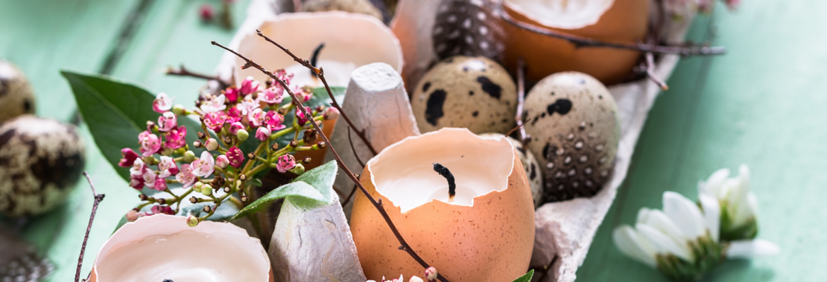 I Make Egg Candles - 1 - 10doigts.com