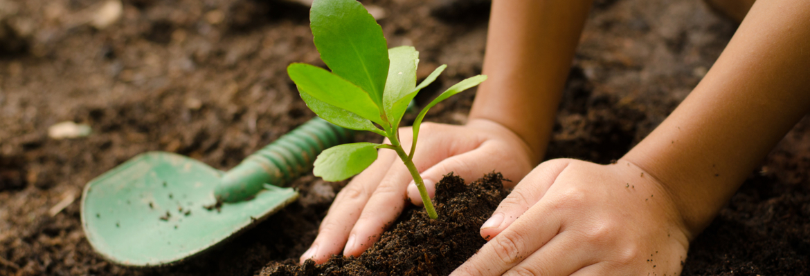 I Explore Nature - 1 - 10doigts.com