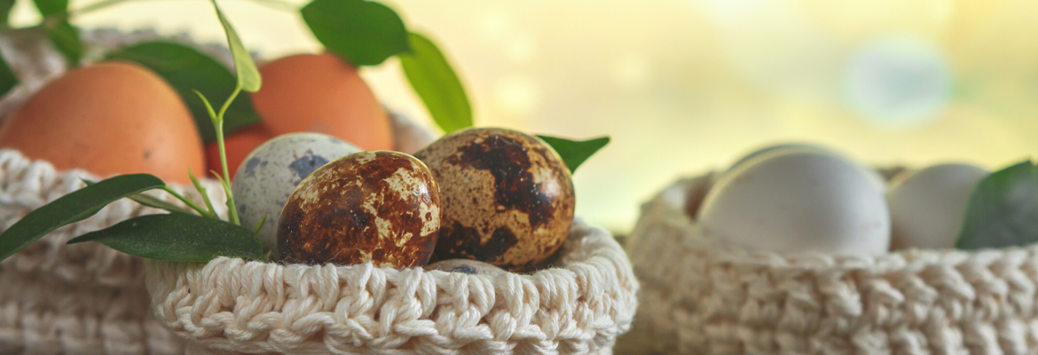 I Knit a Basket - 1 - 10doigts.com