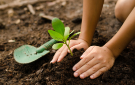 Estoy explorando la naturaleza. - Actividades didácticas y métodos educativos - 10doigts.fr