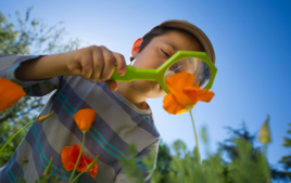 Actividades en el Jardín - Actividades Creativas - 10doigts.fr