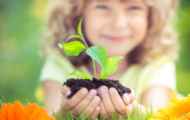 Siembro semillas - Actividades en el Jardín - 10doigts.fr