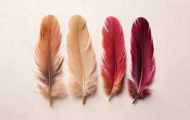 Decorative Feathers - Creative accessories - 10doigts.fr