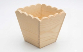 Plantas para regalar - Fin de año: Regalos para Maestras, Maestros,.... - 10doigts.fr