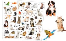 Realistic Stickers - Stickers - 10doigts.fr