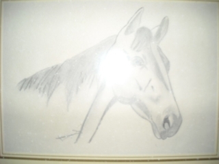 Cheval - Dessin - 10doigts.fr