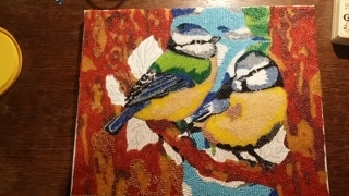 Mésanges bleues dans l'arbre. - Cadres - 10doigts.fr