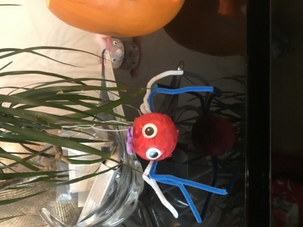 Jolie araignée 2 - Créations d'enfant - 10doigts.fr