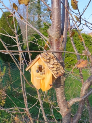 Cabane à oiseaux - Divers - 10doigts.fr