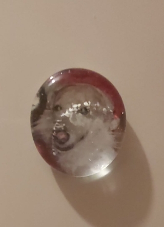 galet aimenté avec photo - Transferts - 10doigts.fr