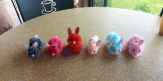 mes premiers lapins - Divers - 10doigts.fr