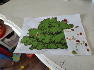 Arbuste à coccinelles - 10doigts.fr