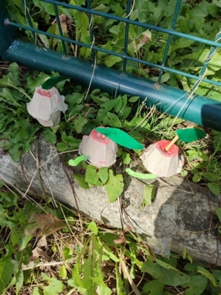 Pommes en boite d'oeufs. - 10doigts.fr