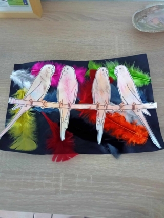 Oiseaux du monde - 10doigts.fr