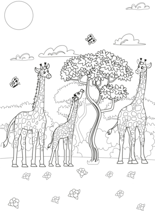 Jungle animals18 - Animal coloring pages - Coloriages - 10doigts.fr