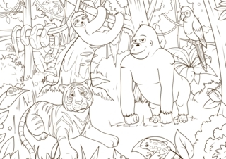 Jungle Animals 3 - Animal coloring pages - Coloriages - 10doigts.fr