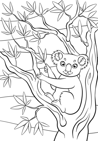 Jungle animals 5 - Animal coloring pages - Coloriages - 10doigts.fr