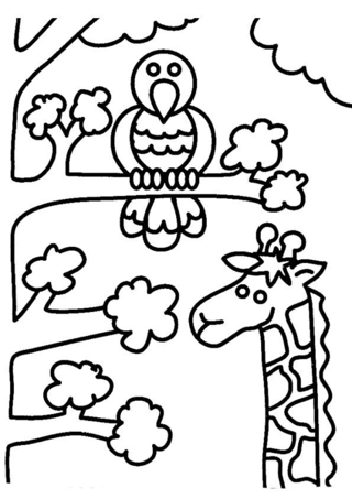 Giraffe and bird - Animal coloring pages - Coloriages - 10doigts.fr