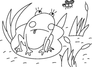 Frog 01 - Animal coloring pages - Coloriages - 10doigts.fr