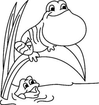 Frog 05 - Animal coloring pages - Coloriages - 10doigts.fr