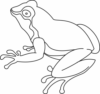 Frog 07 - Animal coloring pages - Coloriages - 10doigts.fr
