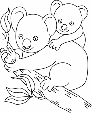 Koala 01 - Animal coloring pages - Coloriages - 10doigts.fr