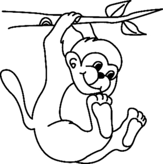Monkey04 - Animal coloring pages - Coloriages - 10doigts.fr