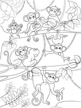 Monkey12 - Animal coloring pages - Coloriages - 10doigts.fr