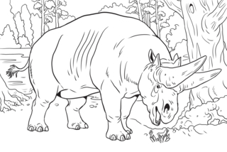 Savannah-animals10 - Animal coloring pages - Coloriages - 10doigts.fr