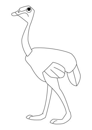 Ostrich 02 - Animal coloring pages - Coloriages - 10doigts.fr
