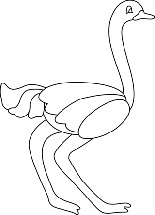 Ostrich 04 - Animal coloring pages - Coloriages - 10doigts.fr