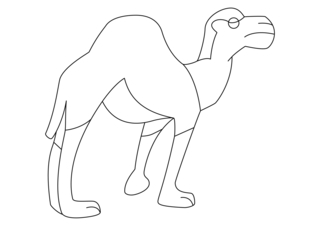 Dromedary 02 - Animal coloring pages - Coloriages - 10doigts.fr