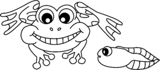 Frog04 - Animal coloring pages - Coloriages - 10doigts.fr