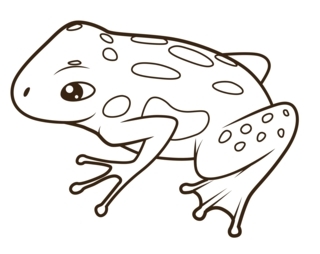 Frog09 - Animal coloring pages - Coloriages - 10doigts.fr