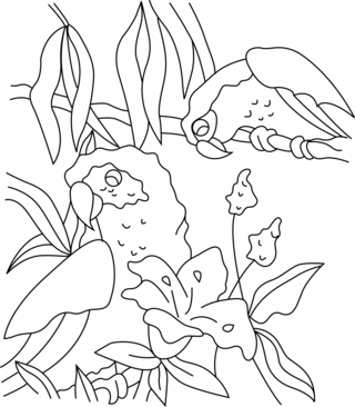 Parrot03 - Animal coloring pages - Coloriages - 10doigts.fr