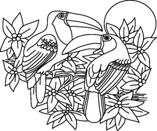 Toucan 002 - Animal coloring pages - Coloriages - 10doigts.fr