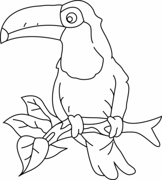 Toucan 003 - Animal coloring pages - Coloriages - 10doigts.fr