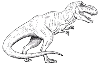 Dinosaur 41 - Dinosaur Coloring Pages - Coloring book - 10doigts.com