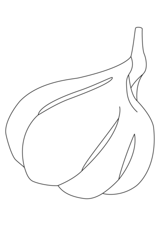 Garlic 01 - Coloring pages of flowers, fruits, and vegetables - Coloring book - 10doigts.com