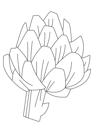 Artichoke 01 - Coloring pages of flowers, fruits, and vegetables - Coloring book - 10doigts.com
