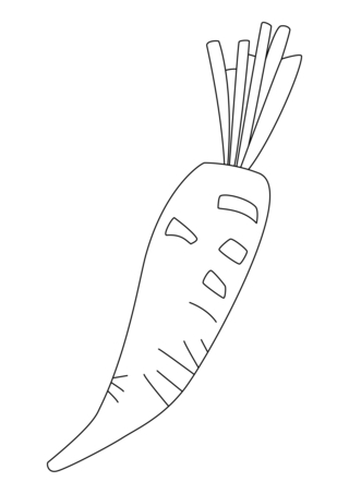 Carrot 03 - Coloring pages of flowers, fruits, and vegetables - Coloring book - 10doigts.com