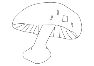 Mushroom 02 - Coloring pages of flowers, fruits, and vegetables - Coloring book - 10doigts.com