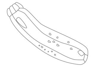 Zucchini 01 - Coloring pages of flowers, fruits, and vegetables - Coloring book - 10doigts.com