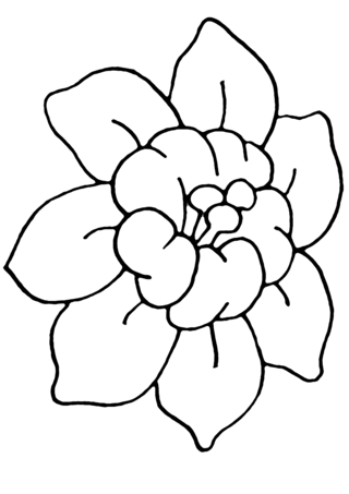 Flower 006 - Coloring pages of flowers, fruits, and vegetables - Coloring book - 10doigts.com