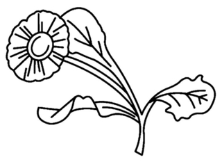 Flower 008 - Coloring pages of flowers, fruits, and vegetables - Coloring book - 10doigts.com