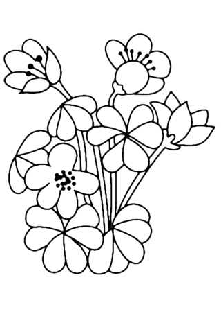 Flowers 002 - Coloring pages of flowers, fruits, and vegetables - Coloring book - 10doigts.com