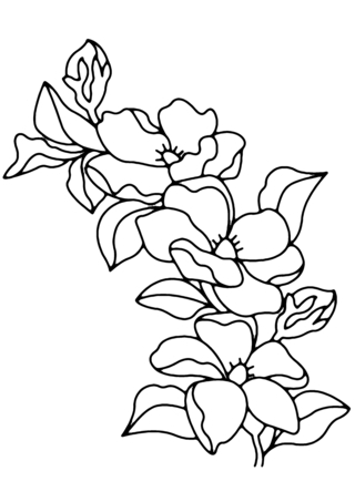 Flowers 009 - Coloring pages of flowers, fruits, and vegetables - Coloring book - 10doigts.com